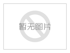 新标带颈平焊高压法兰密封性能的评估